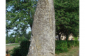 menhir_2