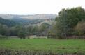 Vue sur la forêt d'Anost