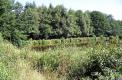 Etang et Bois de Bouquin