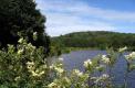 Etang et Bois de Bouquin