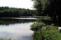 Etang et Bois de Bouquin