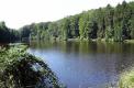 Etang et Bois de Bouquin