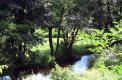 Vallée de Chalaux - le Chalaux