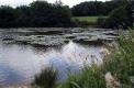 Etang du Haut et de Marrault - Etang du Haut