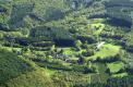 Clairière en forêt d'Anost