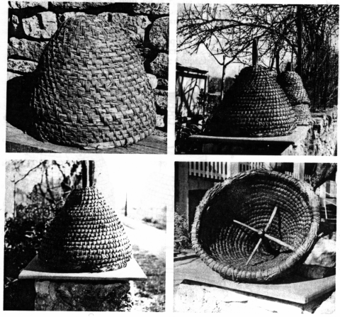 RUCHE en SEIGLE avec CAPE | Patrimoine du Morvan